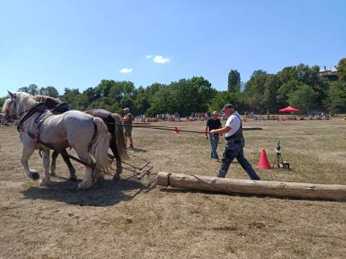 IMG_20260808_131448
